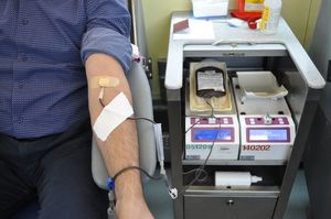 Na zdjęciu widoczna ręka osoby oddającej honorowo krew.