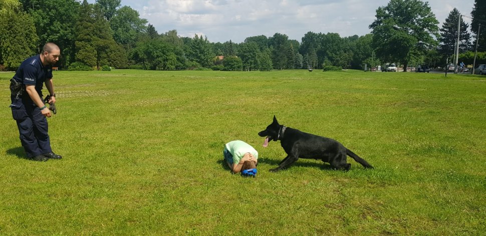 zdjęcie kolorowe: przewodnik psa z psem służbowym i Filip podczas nagrywania materiału filmowego