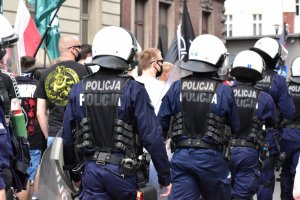 zdjęcie kolorowe: policjanci podczas zabezpieczenia przemarszu