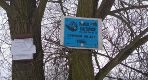 zdjęcie kolorowe: niebieska tablica zawieszona na drzewie z oznaczeniem koła łowickiego
