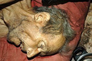 zdjęcie kolorowe: prawy profil głowy zmarłego mężczyny
